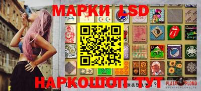Альфа ПВП Будённовск