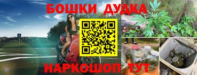 Альфа ПВП Будённовск
