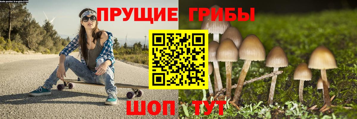 купить наркотик  Псилоцибиновые грибы GOLDEN TEACHER  Вход с VPN  Реж 